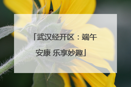 武汉经开区：端午安康 乐享妙趣