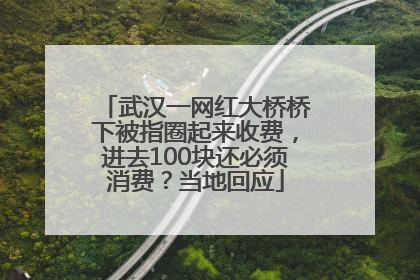 武汉一网红大桥桥下被指圈起来收费，进去100块还必须消费？当地回应