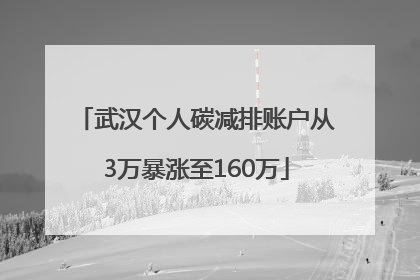 武汉个人碳减排账户从3万暴涨至160万