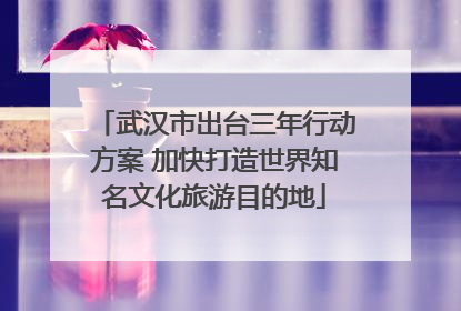 武汉市出台三年行动方案 加快打造世界知名文化旅游目的地