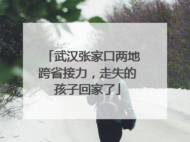 武汉张家口两地跨省接力，走失的孩子回家了
