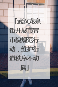 武汉龙泉街开展市容市貌规范行动，维护街道秩序不动摇