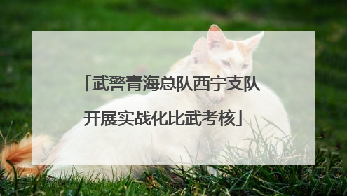 武警青海总队西宁支队开展实战化比武考核