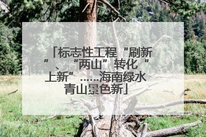 标志性工程“刷新”、“两山”转化“上新”……海南绿水青山景色新