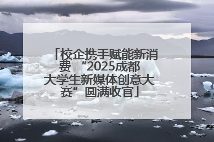 校企携手赋能新消费 “2025成都大学生新媒体创意大赛”圆满收官