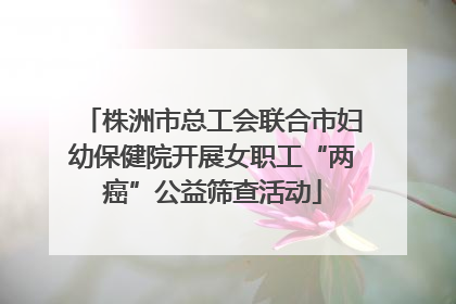 株洲市总工会联合市妇幼保健院开展女职工“两癌”公益筛查活动