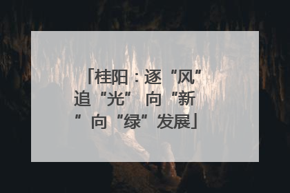 桂阳：逐“风”追“光” 向“新”向“绿”发展