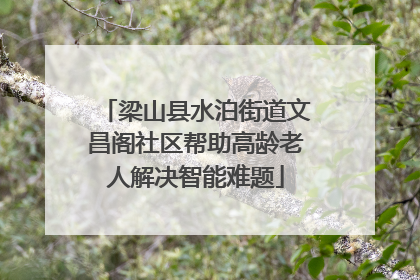 梁山县水泊街道文昌阁社区帮助高龄老人解决智能难题