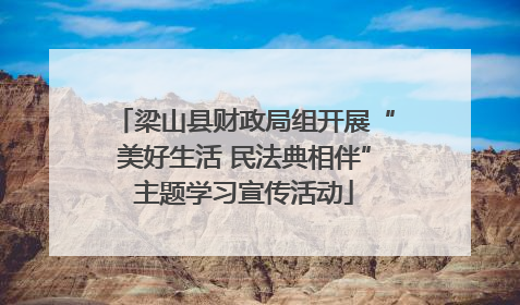 梁山县财政局组开展“美好生活 民法典相伴”主题学习宣传活动