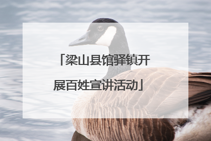 梁山县馆驿镇开展百姓宣讲活动