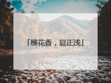 楝花香，夏正浅