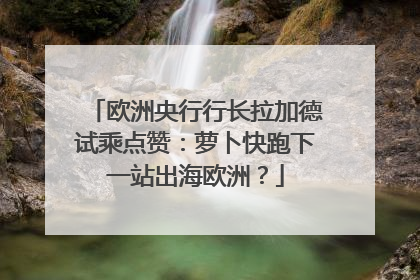 欧洲央行行长拉加德试乘点赞：萝卜快跑下一站出海欧洲？