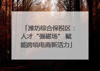 潍坊综合保税区：人才“强磁场” 赋能跨境电商新活力