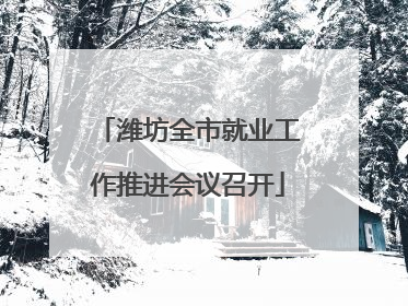 潍坊全市就业工作推进会议召开