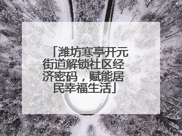 潍坊寒亭开元街道解锁社区经济密码，赋能居民幸福生活