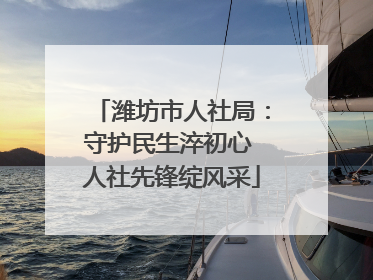 潍坊市人社局：守护民生淬初心 人社先锋绽风采