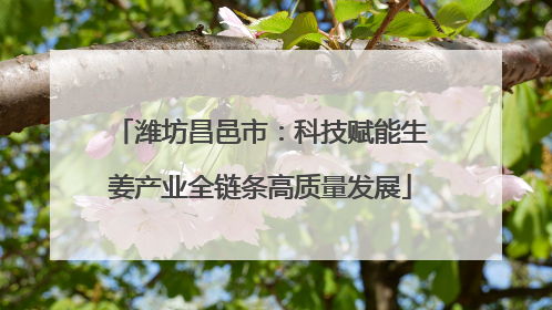 潍坊昌邑市：科技赋能生姜产业全链条高质量发展