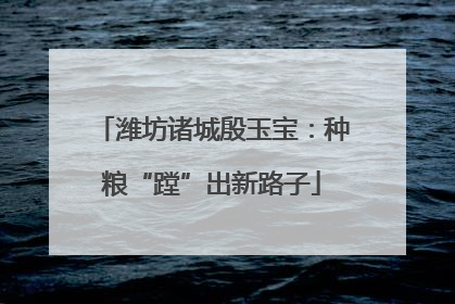 潍坊诸城殷玉宝：种粮“蹚”出新路子