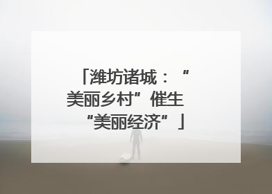 潍坊诸城：“美丽乡村”催生“美丽经济”