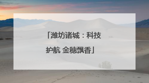 潍坊诸城：科技护航 金穗飘香