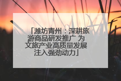 潍坊青州：深耕旅游商品研发推广 为文旅产业高质量发展注入强劲动力