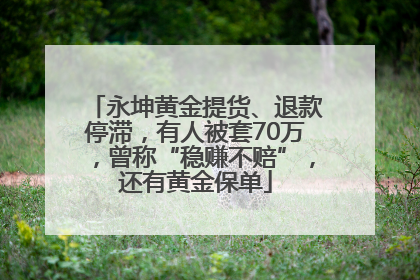 永坤黄金提货、退款停滞，有人被套70万，曾称“稳赚不赔”，还有黄金保单