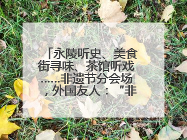 永陵听史、美食街寻味、茶馆听戏……非遗节分会场，外国友人：“非常棒”