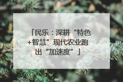 民乐：深耕“特色+智慧”现代农业跑出“加速度”