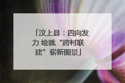 汶上县：四向发力 绘就“跨村联建”崭新图景