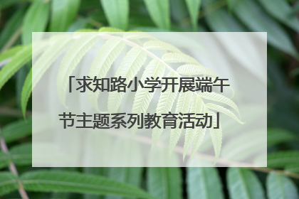 求知路小学开展端午节主题系列教育活动