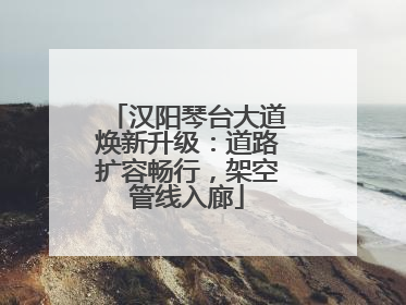 汉阳琴台大道焕新升级：道路扩容畅行，架空管线入廊