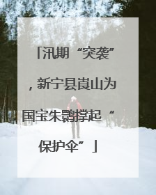 汛期“突袭”，新宁县崀山为国宝朱鹮撑起“保护伞”