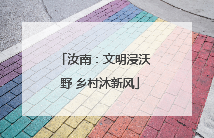 汝南：文明浸沃野 乡村沐新风
