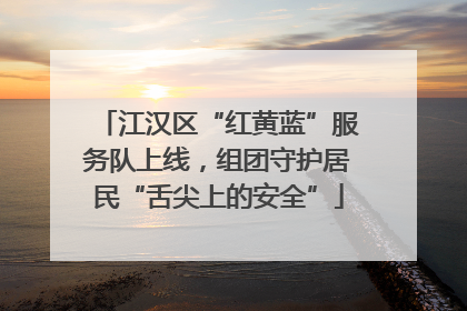 江汉区“红黄蓝”服务队上线，组团守护居民“舌尖上的安全”