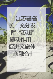 江苏省省长：充分发挥“苏超”撬动作用，促进文旅体商融合