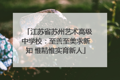 江苏省苏州艺术高级中学校：至善至美求新知 惟精惟实育新人