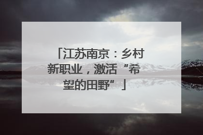 江苏南京：乡村新职业，激活“希望的田野”