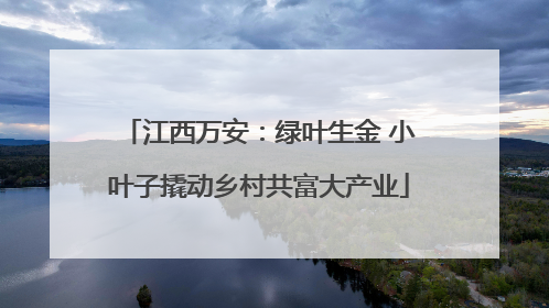 江西万安：绿叶生金 小叶子撬动乡村共富大产业