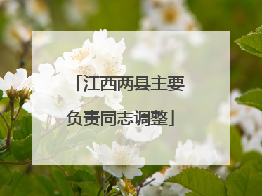 江西两县主要负责同志调整