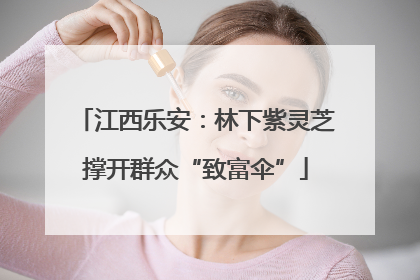 江西乐安：林下紫灵芝撑开群众“致富伞”