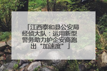 江西泰和县公安局经侦大队：运用新型警务助力护企安商跑出“加速度”