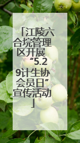 江陵六合垸管理区开展 “5.29计生协会员日”宣传活动