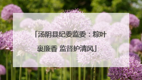 汤阴县纪委监委：粽叶裹廉香 监督护清风