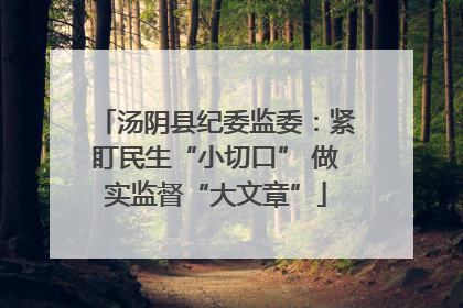 汤阴县纪委监委：紧盯民生“小切口” 做实监督“大文章”