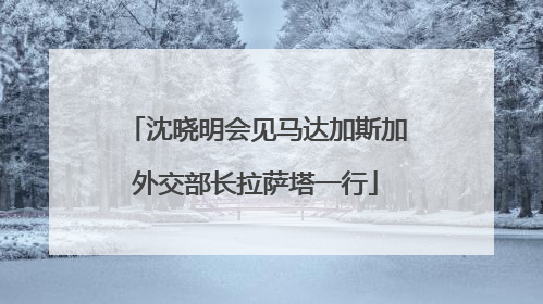 沈晓明会见马达加斯加外交部长拉萨塔一行