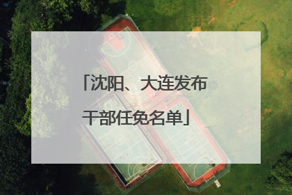 沈阳、大连发布干部任免名单