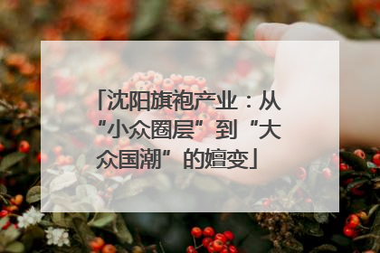 沈阳旗袍产业：从“小众圈层”到“大众国潮”的嬗变