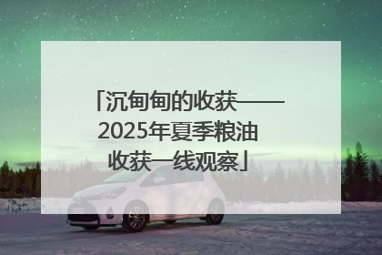 沉甸甸的收获——2025年夏季粮油收获一线观察