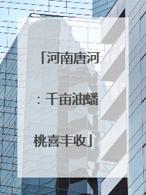 河南唐河：千亩油蟠桃喜丰收