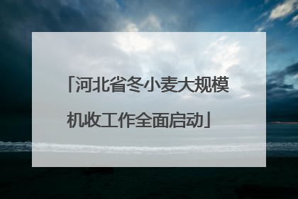 河北省冬小麦大规模机收工作全面启动
